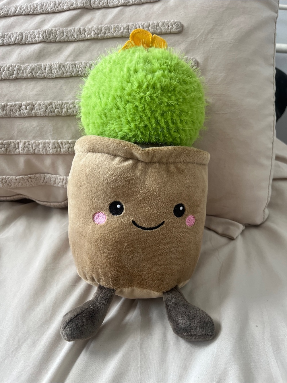 Plush Green Cactus Potted Plant